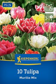 Gefüllte Frühe Tulpen Murillo Mix