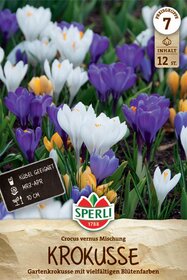 Gartenkrokus Mischung