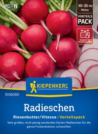 Radieschen mit grünen Blättern und geschnittenen Radieschen in Weiß und Rot.