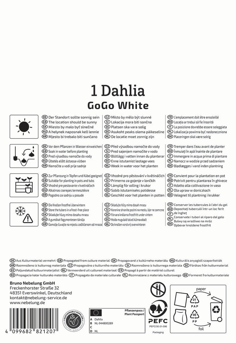 Anleitungssymbolien und Text zur Pflege und Pflanzung der Dahlia GoGo White.