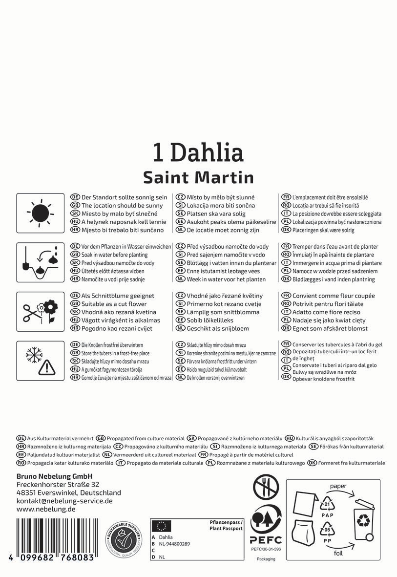 Pflegehinweise und Pflanzinfos für Dahlia Saint Martin auf einem weißen Hintergrund mit Text und Symbolen.