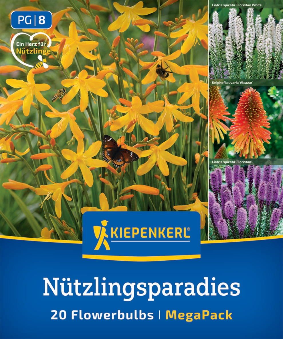 Gelbe Blumen mit Bienen und Schmetterling, Paketbeschreibung für 20 Blumen.