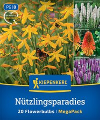 Gelbe Blumen mit Bienen und Schmetterling, Paketbeschreibung für 20 Blumen.
