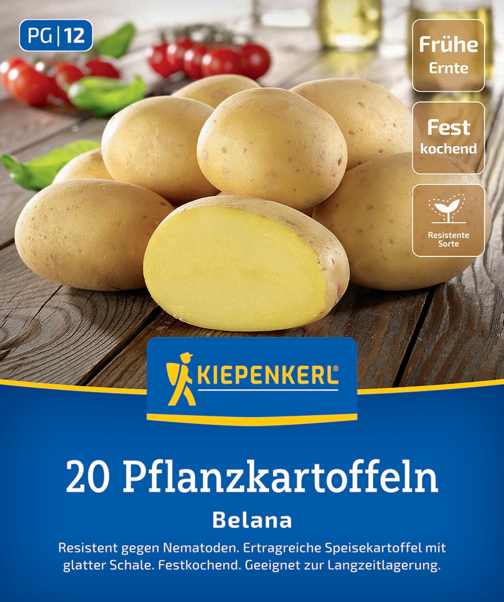 Mehrere gelbe Kartoffeln auf einem Holztisch, eine halbierte Kartoffel vorne. Oben links: PG 12.