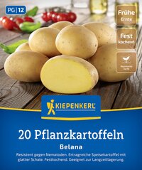 Mehrere gelbe Kartoffeln auf einem Holztisch, eine halbierte Kartoffel vorne. Oben links: PG 12.