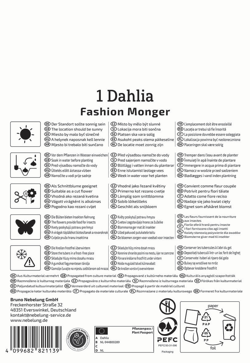 Text mit der Überschrift "1 Dahlia Fashion Monger" und Anweisungen sowie Symbolen für Pflege- und Pflanzhinweise auf mehreren Sprachen.
