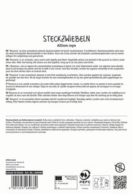 Schnittbild von mehreren kleinen rosa blühenden Zwiebeln.