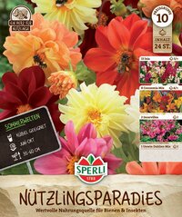 Bunte Dahlien und Wildblumen mit Bienen, Verpackung für Blumensamen, mit Labeln und Produktinformationen.