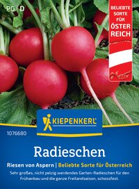 Radieschen mit grünen Blättern, auf Boden gepflanzt, rotes Gemüse, im Pflanzenschutzetikett mit österreichischer Flagge.