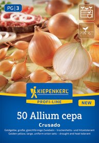 Zwiebeln, aus denen geschälte Zwiebelhälften und ungeschälte Zwiebelknollen hervorgehen, auf einer hellen Oberfläche.