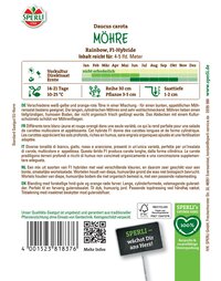 Bauchige, längliche orange-rote Möhren mit zylindrischer Form liegen auf weißem Hintergrund.