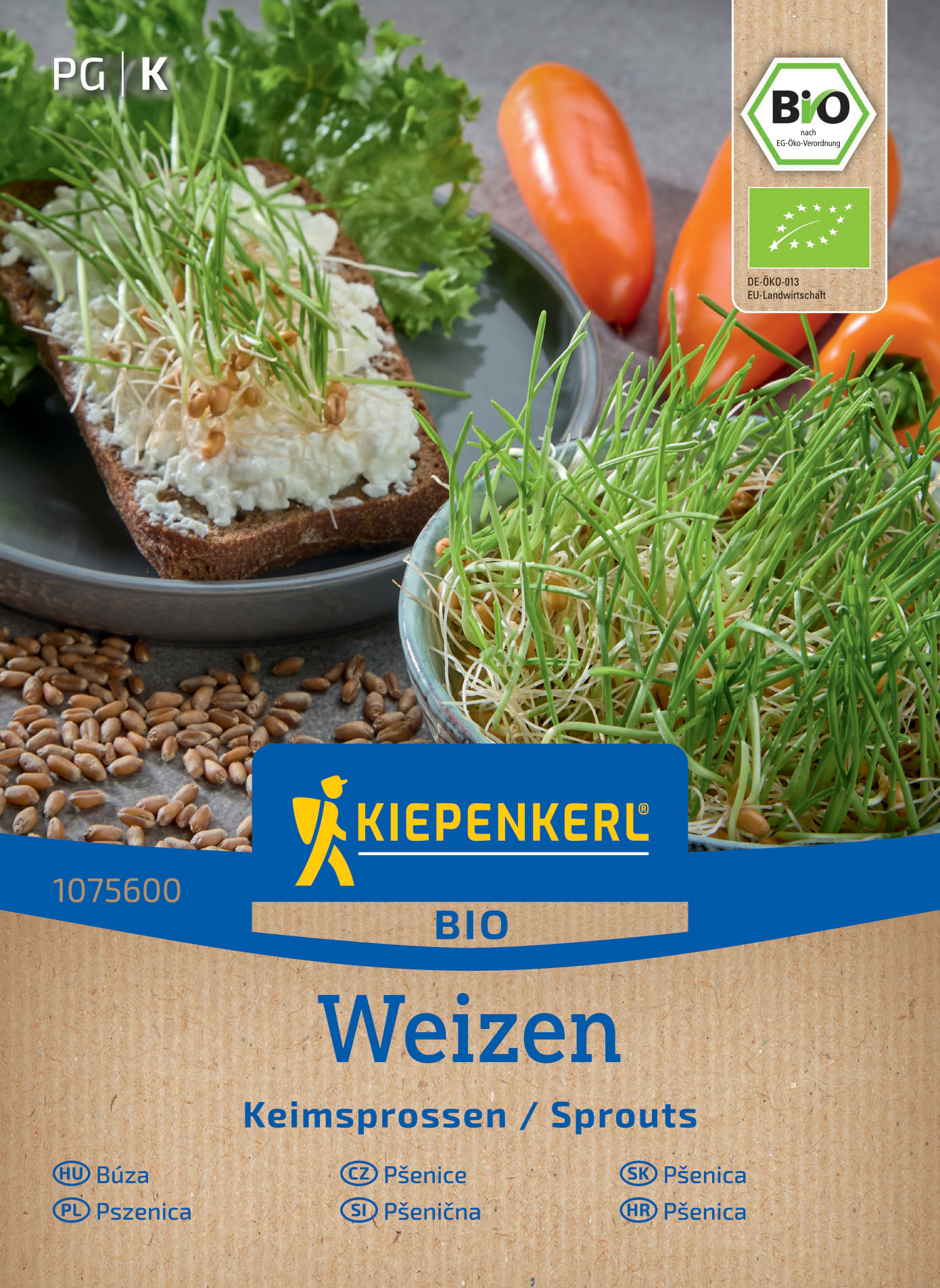 Brot mit Käse und Sprossen, mehrere Orange Karotten, grüne Salatblätter auf einem Teller.