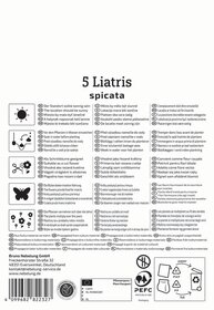 Packungsbeilage mit Anweisungen zur Pflege und Verwendung der Lilienspitze, inklusive Symbole und Kontaktinformationen.