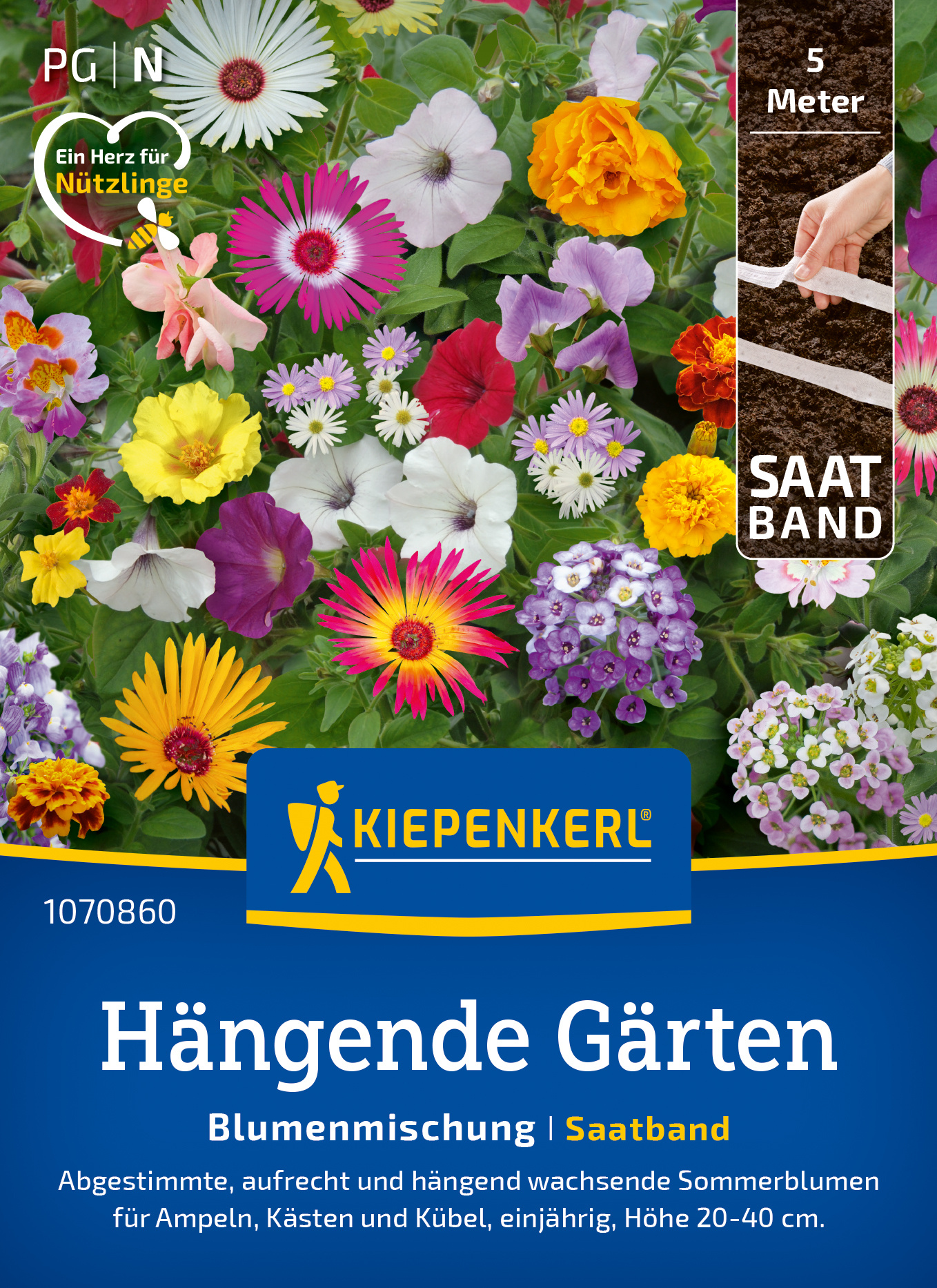 Bunte Sommerblumen in einem Hängekorb mit Saatband für Balkon, Ampel und Kübel, Höhe 20-40 cm.