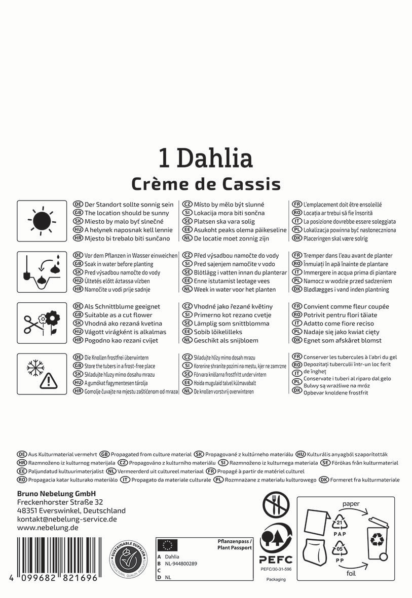 Auf der Verpackung stehen Pflegehinweise und Symbolinformationen für eine Dahlie, inklusive Standort, Wasser, Schnitt und Lagerung.