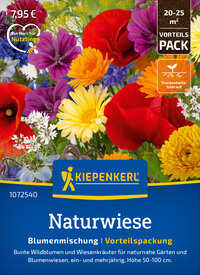 Bunte Wildblumen und Wiesenkräuter in der Mehrjahr-Strategie, Höhe 50-100 cm, für naturnahe Gärten und Blumenwiesen.
