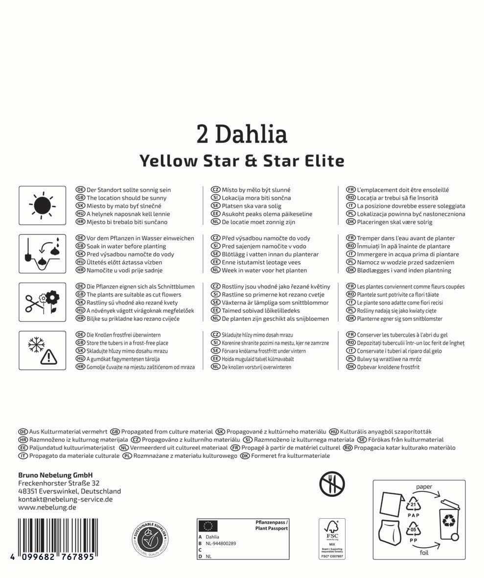 Anleitung für Dahlienpflege in mehreren Sprachen mit Symbolen und Firmenadresse.