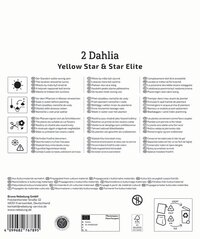 Anleitung für Dahlienpflege in mehreren Sprachen mit Symbolen und Firmenadresse.