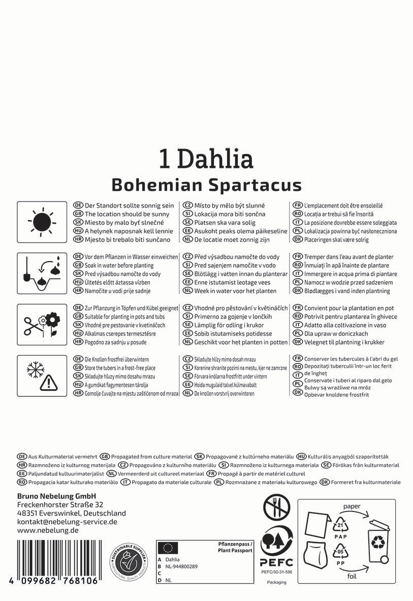 Anleitung für Pflanzung, Bewässerung, Standort, Schneiden, Frostschutz mit Symbolen und Text in mehreren Sprachen.