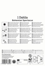 Anleitung für Pflanzung, Bewässerung, Standort, Schneiden, Frostschutz mit Symbolen und Text in mehreren Sprachen.