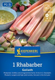 Rhabarberstängel, aufgeschnitten, neben einer Schüssel mit zerlassener Rhabarberpaste, im Hintergrund Erdbeeren, auf grauem Untergrund.