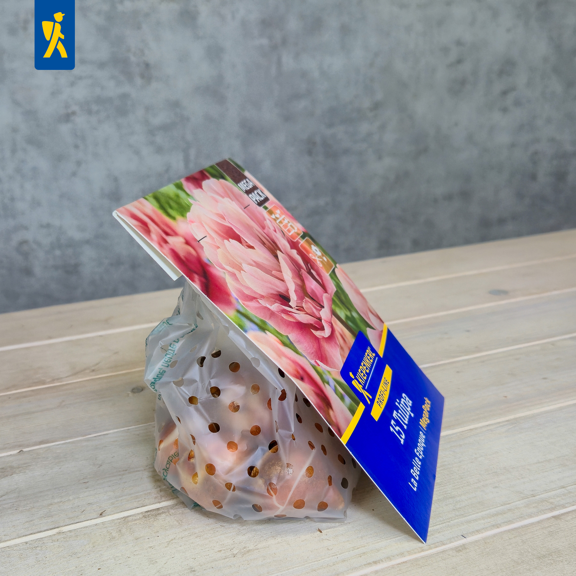 Blumenkarton mit pinken Tulpen, Kunststoffbeutel mit Löchern, auf Holztisch gegen grauen Hintergrund.