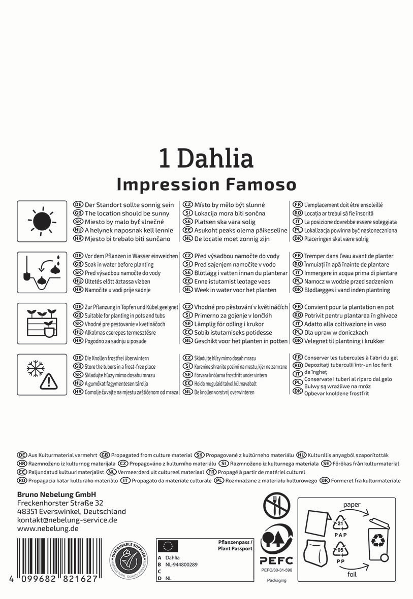 Anleitungstext zur Pflege und Nutzung eines Dahlia, mit Symbolen und mehrsprachigen Anweisungen.