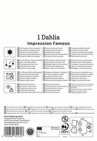 Anleitungstext zur Pflege und Nutzung eines Dahlia, mit Symbolen und mehrsprachigen Anweisungen.