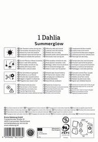 Anleitung für Dahlia Summerglow, Symbole für Standort, Bewässerung, Schnitt, Frostschutz und Recycling.