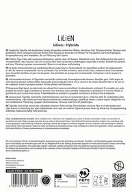 Text auf einer Verpackungsrückseite mit Informationen zu Lilien, Pflanzenpflege, Herkunft und Zertifizierungen.