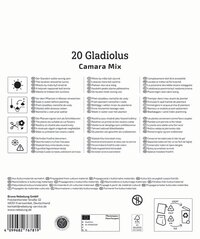 Bild zeigt eine Anleitung oder Beschreibung in mehreren Sprachen, mit Symbolen für Pflanzen, Wasser und Frostschutz.