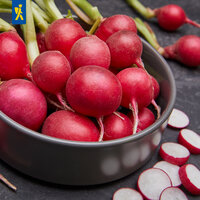 Radieschen in einer grauen Schüssel, einige Scheiben daneben auf schwarzem Untergrund.