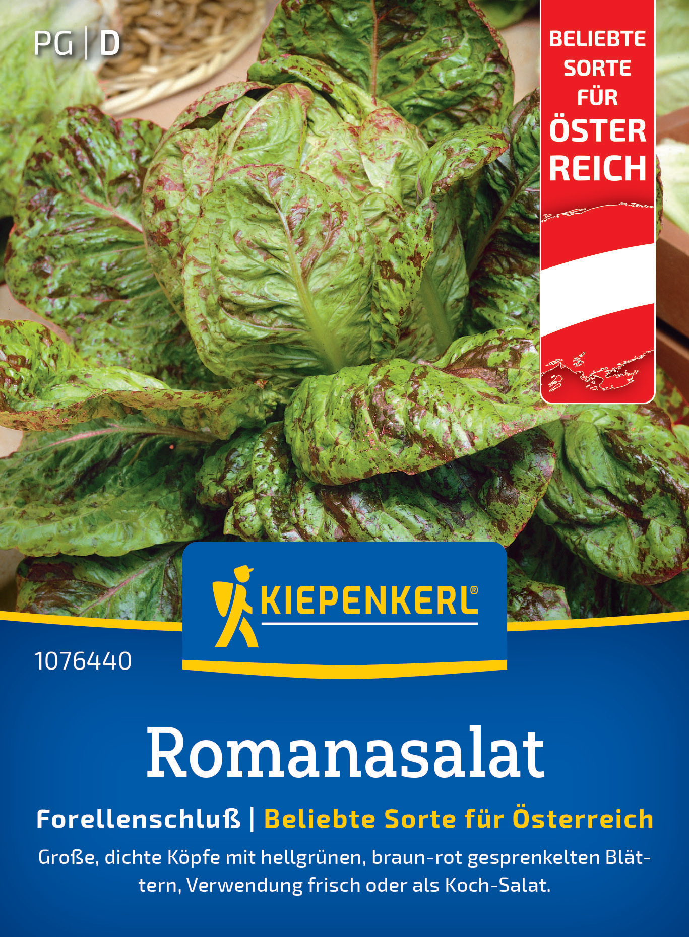 Große Romanaussaat mit hellgrünen, braun-roten, gesprenkelten Blättern, frisch oder zum Kochen.