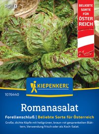 Große Romanaussaat mit hellgrünen, braun-roten, gesprenkelten Blättern, frisch oder zum Kochen.