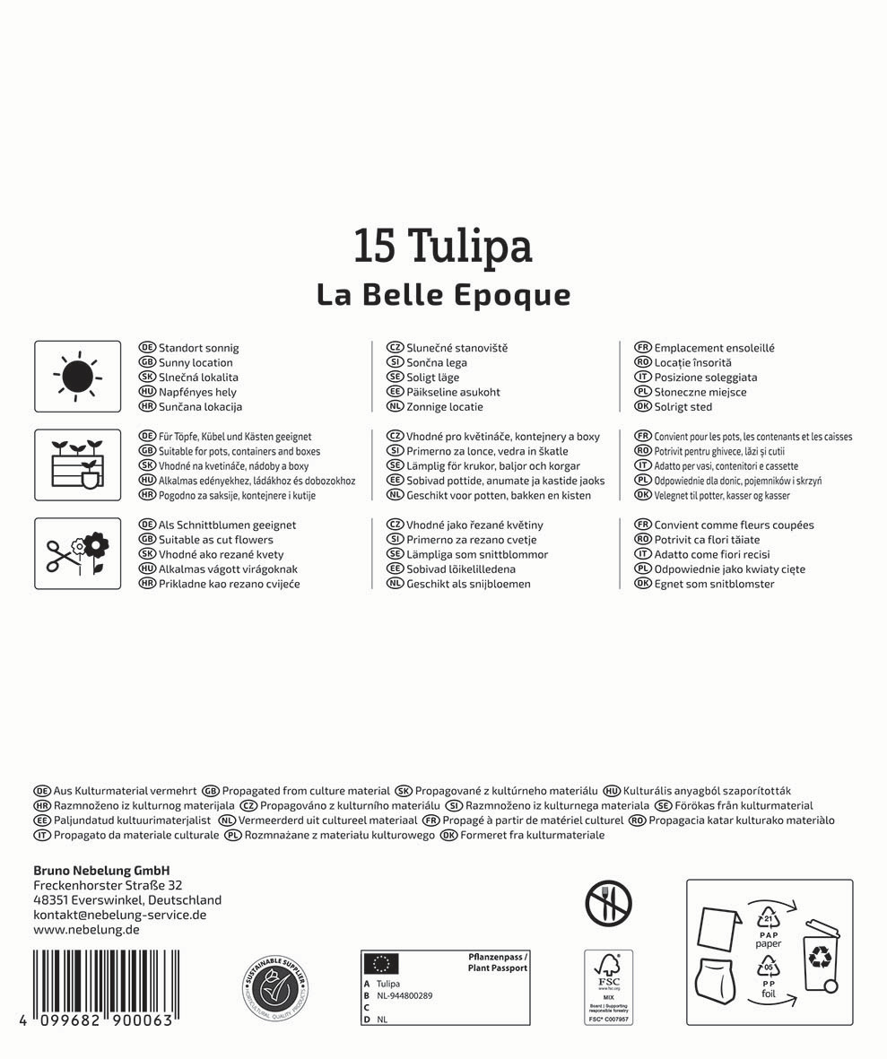Info zu Tulipa La Belle Epoque, passende Kultivierung und Standortsymbole, auf weißem Hintergrund.