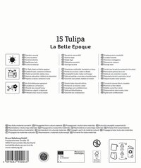 Info zu Tulipa La Belle Epoque, passende Kultivierung und Standortsymbole, auf weißem Hintergrund.