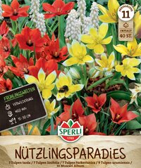 Frühlingsgarten Nützlingsparadies