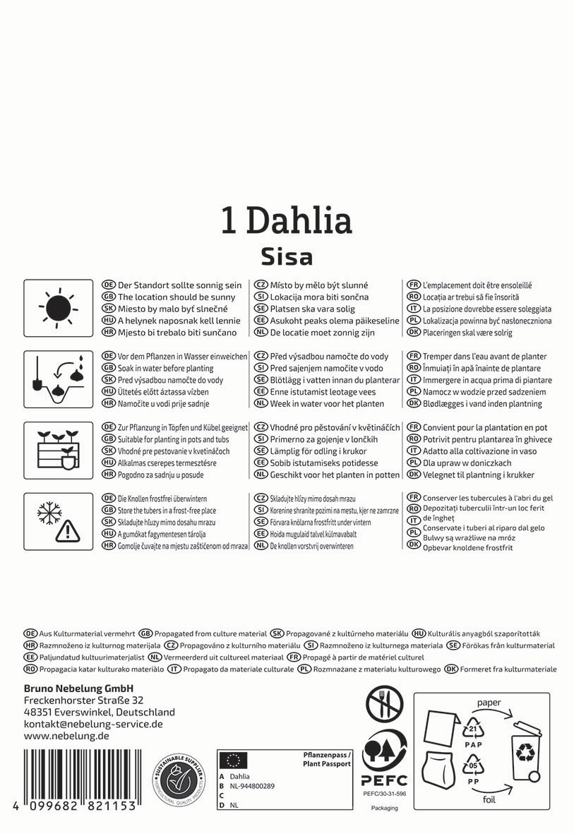 Text mit Pflanztipps, Pflegeanleitungen, Symbole für Wasser, Sonnenschein und Frostschutz in mehreren Sprachen.
