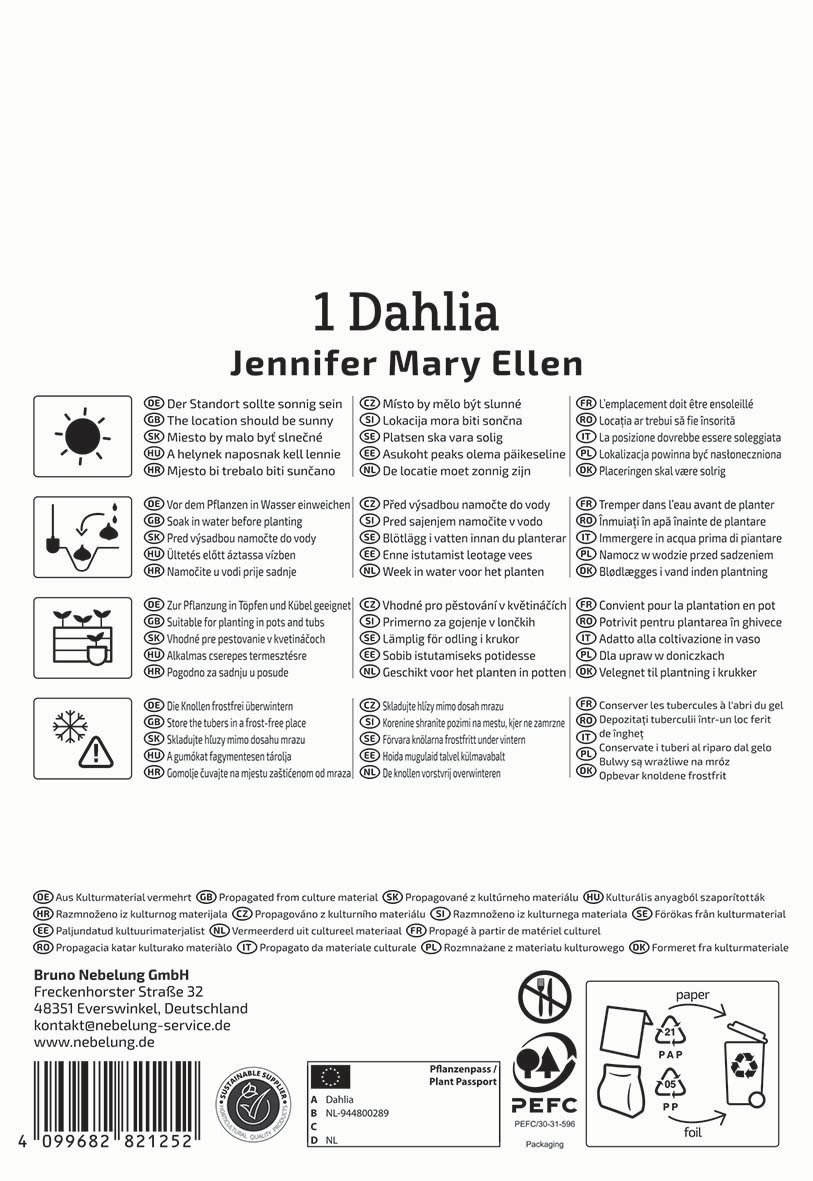 Anleitung für Dahlienpflanzen in mehreren Sprachen mit Icons für Sonnenlicht, Wasser, Topf, Frostschutz und Umwelthinweise.