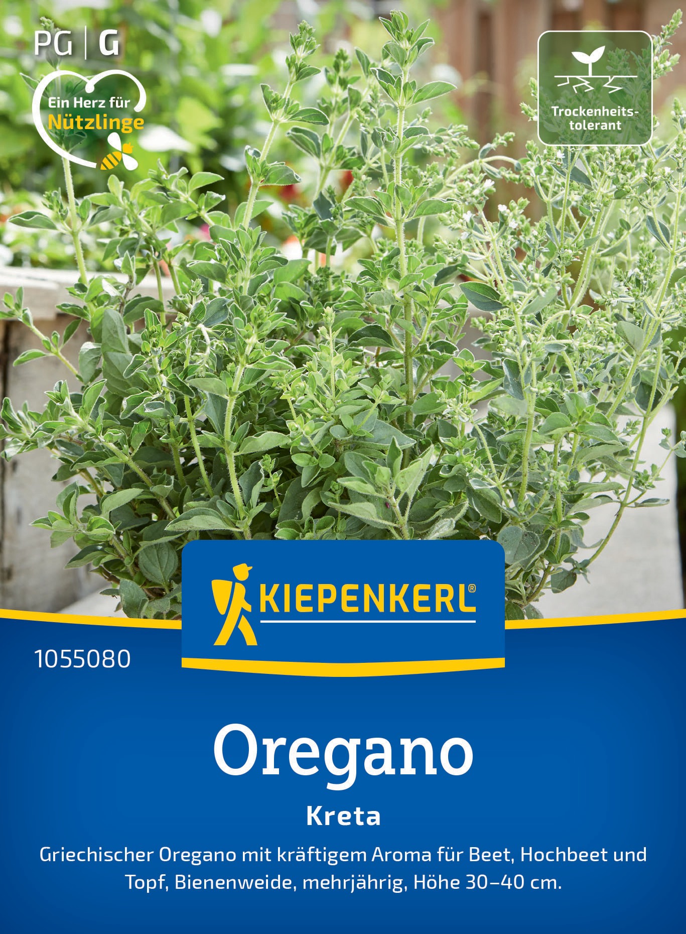 Kräuterpflanze mit grünen Blättern auf Verpackung, Kiepenkerl Logo, Oregano, Kreta, Informationen auf Deutsch.