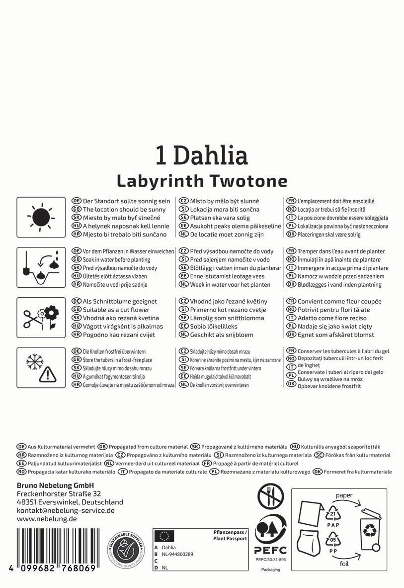 Ein Etikett mit Pflanzentipps und Pflegehinweisen für Dahlien, in verschiedenen Sprachen.