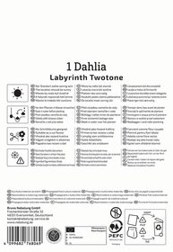 Ein Etikett mit Pflanzentipps und Pflegehinweisen für Dahlien, in verschiedenen Sprachen.