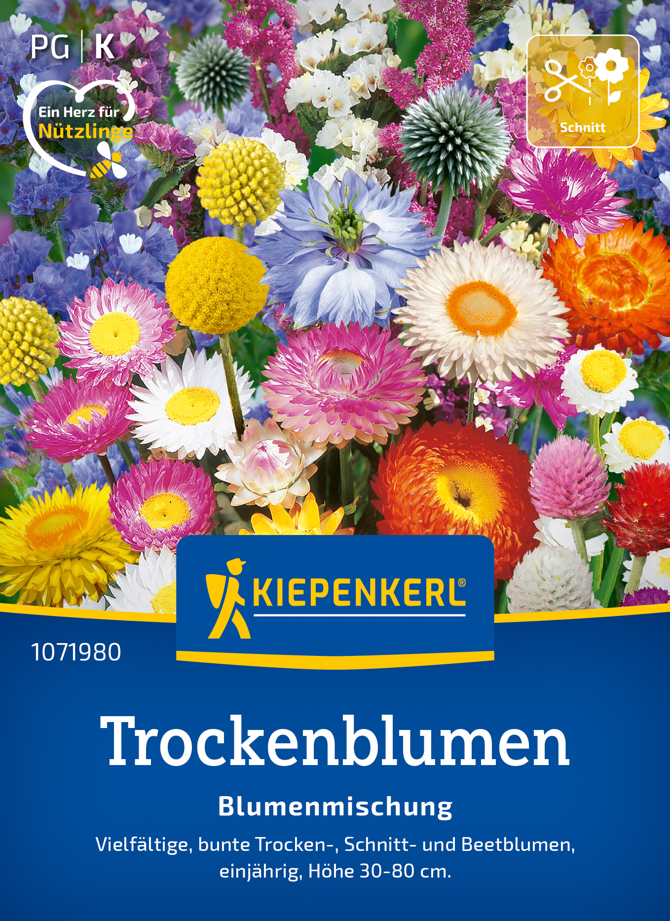 Bunte getrocknete Blumenmischung mit verschiedenen Hülsen-, Schnitt- und Beetblumen, Höhe 30-80 cm