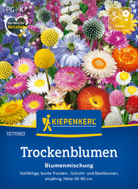 Bunte getrocknete Blumenmischung mit verschiedenen Hülsen-, Schnitt- und Beetblumen, Höhe 30-80 cm