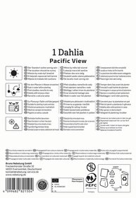 Anleitung für Dahlia Pacific View mit Pflegehinweisen und Symbols.
