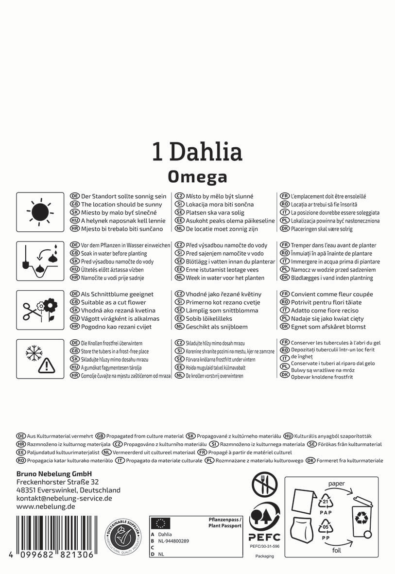 Anleitungssymbole, Pflanzenschnitt, Pflanze in Wasser, passende als Schnittblume, frostfrei lagern, Standort sonnig, gelbblühend.