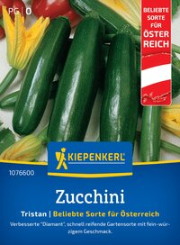 Grüne Zucchini mit gelben Zucchini-Blüten, die auf einem hellen Hintergrund liegen.