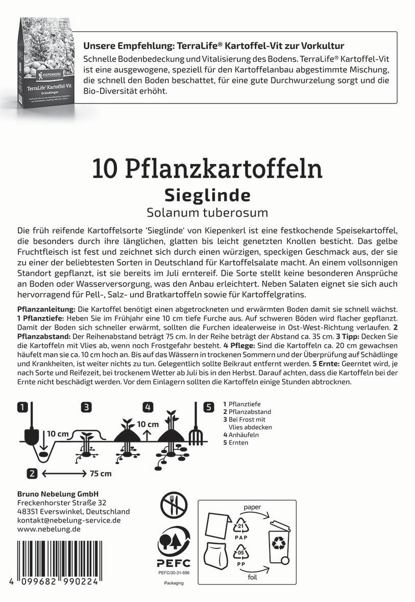 Paket mit zehn Pflanzkartoffeln Sieglinde Solanum tuberosum und Pflegehinweisen.