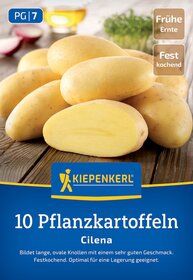 Zehn gelbe, ovale Pflanzkartoffeln auf Holztisch, Verpackung mit Kiepenkerl-Logo, Infos zum Anbau.