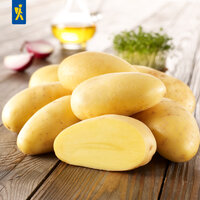 Stapel gelber Kartoffeln auf einem Holzbrett, im Hintergrund Radieschen, Öl und Kräuter.